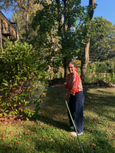 watering magnolia photo