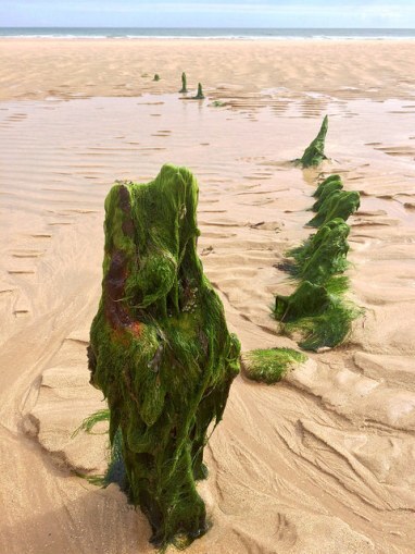 part of a shipwreck - Ailish Sinclair, author