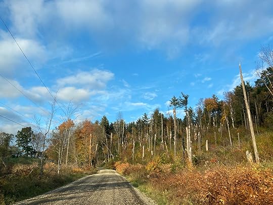 The Writing: When are you going to get a real job?