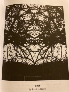 Briar by Patricia Harris