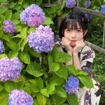 ajisai flower japan girl