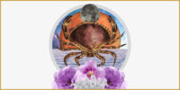 mars in cancer