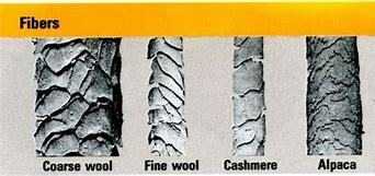 Image result for wool fiber structure
