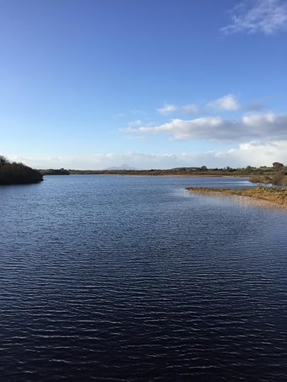 Picture of Lough Lannagh, Castlebar, County Mayo. A beautiful place to go for a walk.