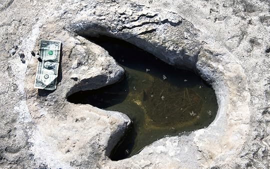 Photo of dinosaur valley state park in Glen Rose, Texas, showing one fossilized dinosaur track filled with water with a dollar bill next to it. The length of the dollar bill fits between the tips of the toe prints. You can learn more about ancient dinosaurs and sea creatures in Texas!