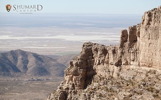 Shumard Canyon photo courtesy of National Parks Service.You can learn more about ancient dinosaurs and sea creatures in Texas!