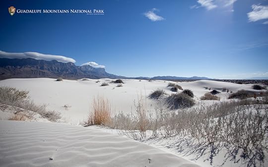 Guadalupe Mountains National Park photo. You can learn more about ancient dinosaurs and sea creatures in Texas!