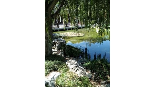 A picture containing tree, outdoor, plant, nature