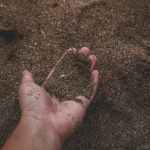 close up photo of person holding sand