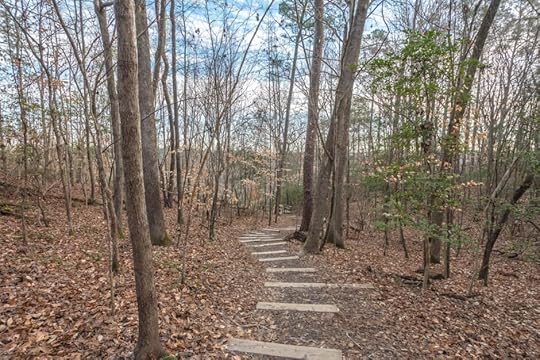 raven rock state park north carolina road trip