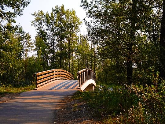 Sarah has been crossing the bridge into the land of productivity