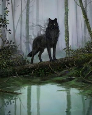 2c70c7d71fca08e8c437163d928d37ed