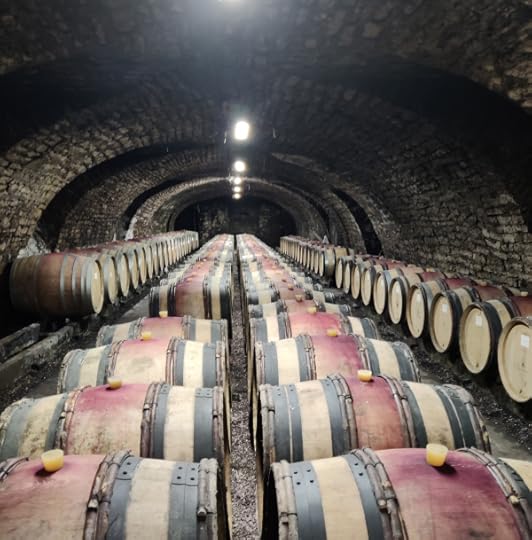 IMG_20211106_110031_Original