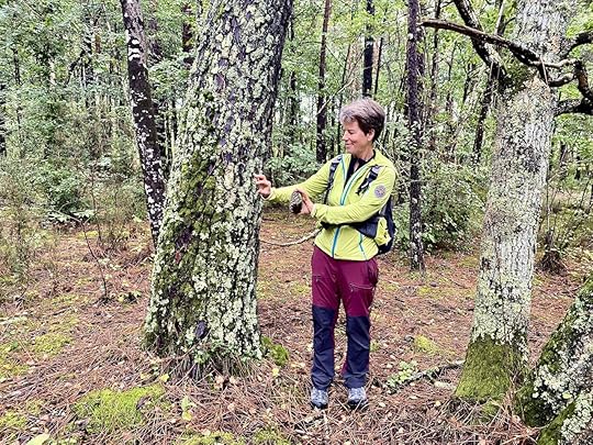 Guide holding pine cones in the Sologne on a hike