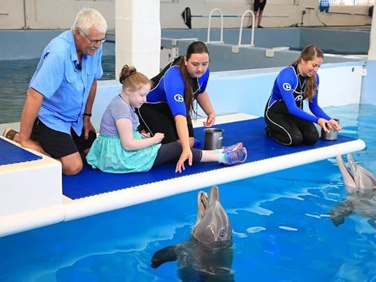 winter the dolphin