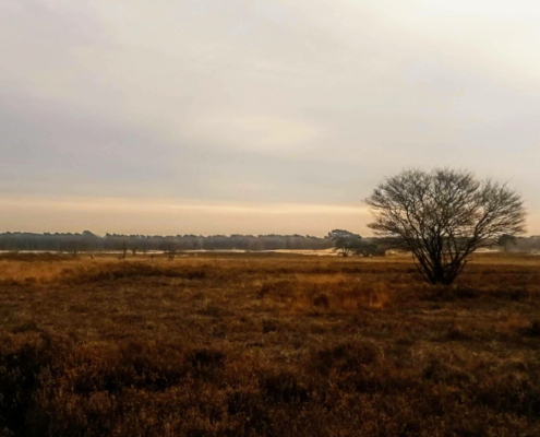 Wandeling op de vrijdagmiddag