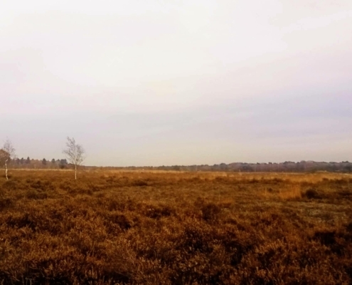 Wandeling op de vrijdagmiddag