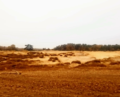 Wandeling op de vrijdagmiddag