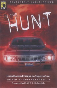 In the Hunt cover