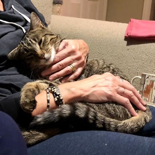 Large tabby cat clinging desperately, possessively to a white woman—his paw is curled around her forearm from above; his tail is curled around her arm from below—relaxing on an ivory sofa with a big mug of tea