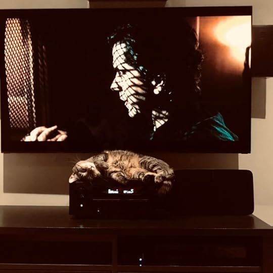 Photo in sepia tones of a TV and a TV console with audio receiver. The screen is showing a chiaroscuro still from Midnight Mass: the priest in the confessional. Below, fast asleep on the audio receiver, a small tabby cat with his white chin to the sky, clearly having blissful dreams.