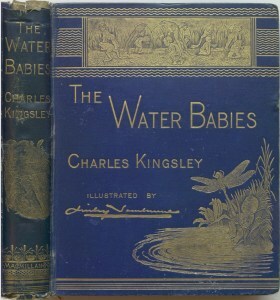 cover image of The Water Babies by Charles Kingsley