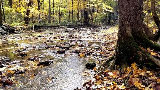 Glen Helen Nature Preserve in Yellow Springs