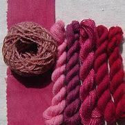Image result for cochineal for dyeing wool