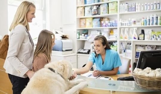 Different Veterinary Marketing Strategies To Try Out