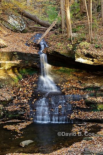 Morgan's Steep Falls, by David B. Coe