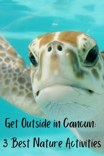 Get Outside in Cancun: 3 Best Nature Activities
