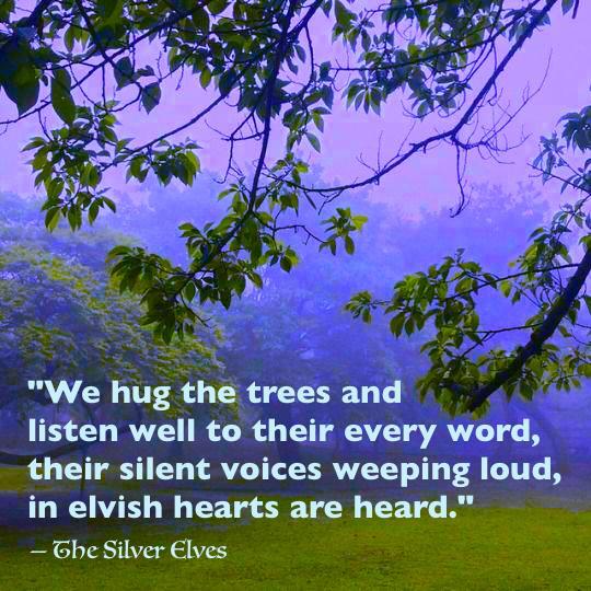 tree voices in Nature