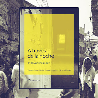 A través de la noche de Stig Sæterbakken