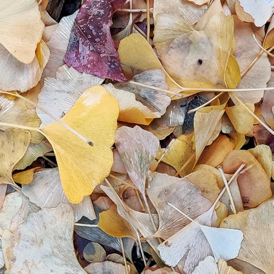 IMG_20211122_145618-01