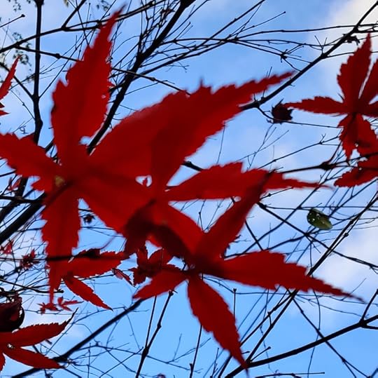 IMG_20211122_145904-01