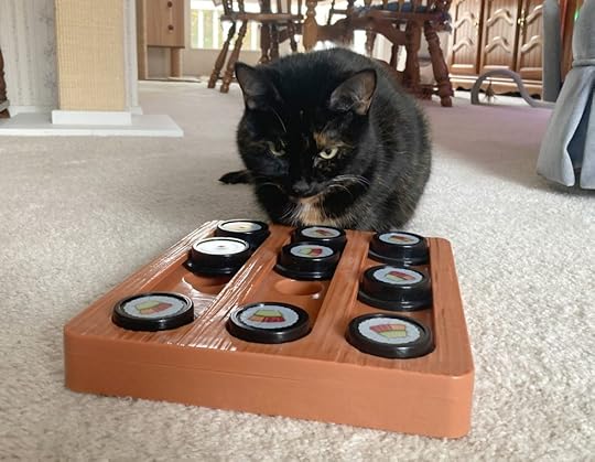sushi-treat-puzzle