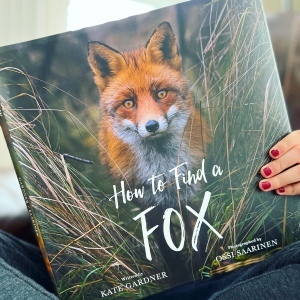 https://thebabybookwormblog.wordpress.com/2021/11/24/how-to-find-a-fox-kate-gardner/
