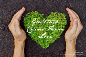 17 Memorable Quotes About Gratitude