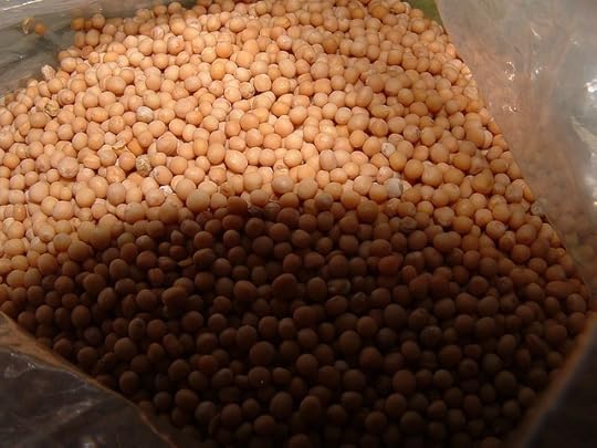 Receiving Healing and Help from God — Mustard Seed Faith