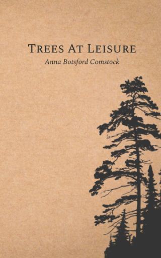 Winter Trees as a Portal to Aliveness