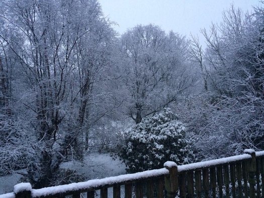 winter wonderland