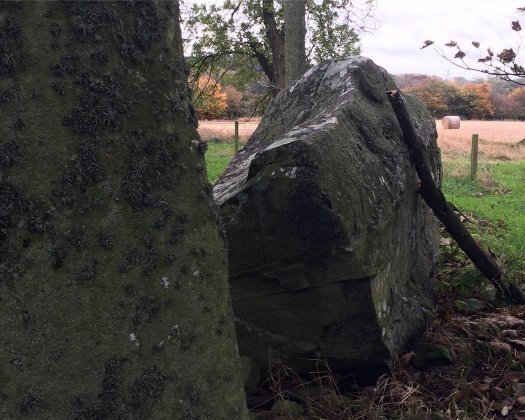 autumn at Berrybrae Recumbent Stone Circle