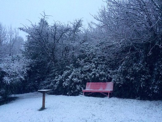 pink bench in a winter wonderland