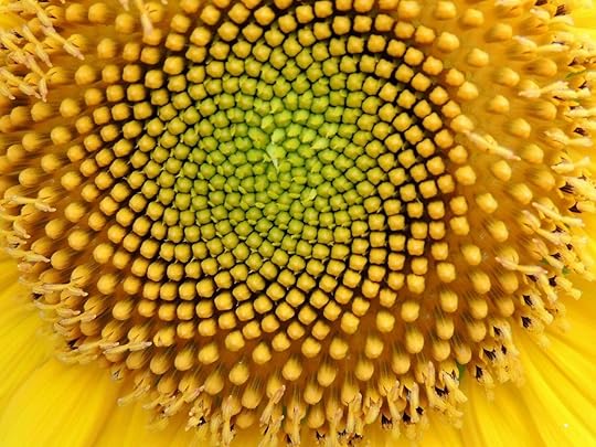Today’s nature closeup