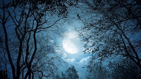 forest_under_moon_sky_hd_dark_aesthetic 1366x768