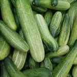cucumber