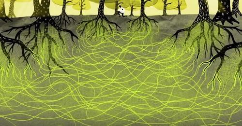 GAIA RISING: ‘The Wood Wide Web’, Preserving Underground Fungal Networks & Our Ecosystem