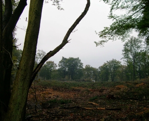 Maandagmiddag Wandeling