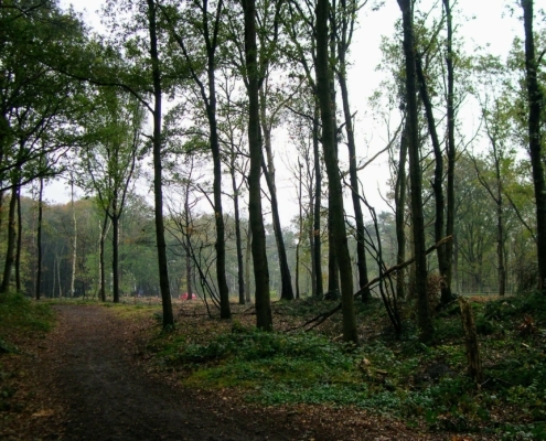 Maandagmiddag Wandeling