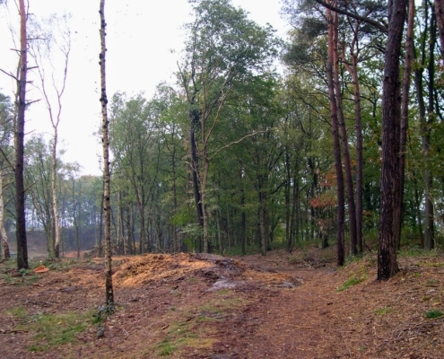 Maandagmiddag Wandeling